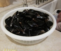 Mussels-2.jpg