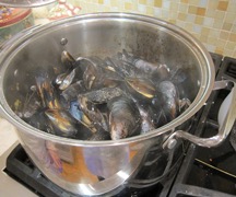 Mussels-4.jpg